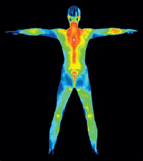 Thermography Naturally Unbridled