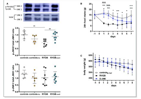 A Aortic C Jun N Terminal Kinase Jnk 1 And Jnk2 Phosphorylation In Download Scientific