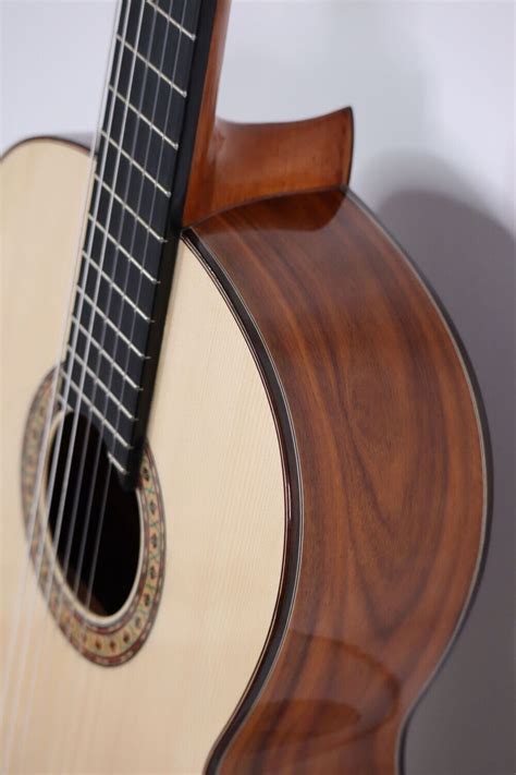 Flamenco Gitarre Juan Montes Cocobolo Especial