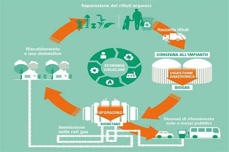 I Rifiuti Organici Come Risorsa Green Per Aumentare Lefficienza