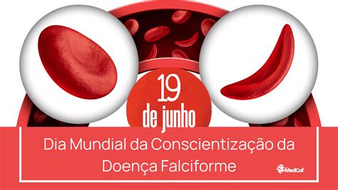 Doença Falciforme saiba mais Blog Grupo MedCof