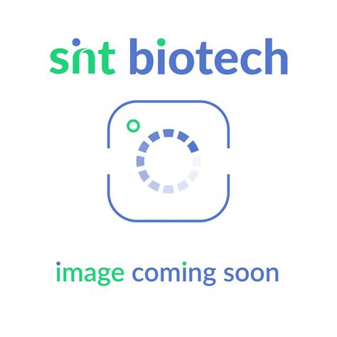 Snt Biotech Dermarite Comfortfoam® Border Silicone Foam Dressing