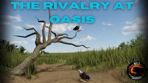 The Rivalry At Oasis Roblox Wild Savannah Documentary YouTube