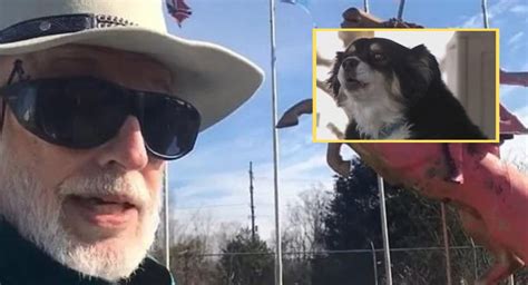 Estados Unidos Bill Dorris Viral Perrito Hereda Millones De D Lares