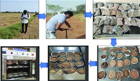 Soil Samples Collection in the Field and Oven Drying of Soil Samples ...