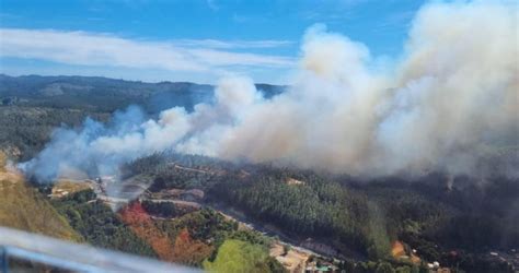 Decretan Alerta Amarilla En Región De Ñuble Por Incendio Forestal En