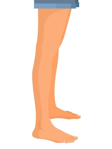 Premium Vector Human Legs Profile Vector Illustration For