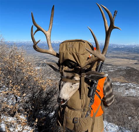 Mule Deer Hunting Tips | Outdoor Life