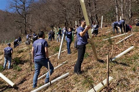 La Fundación EDP refuerza su compromiso con el medio ambiente