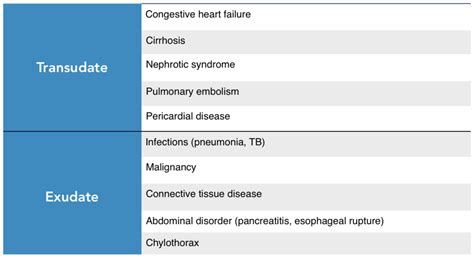 Wet Wacky Lungs A Quick Look At Pleural Effusions — Nuem Blog