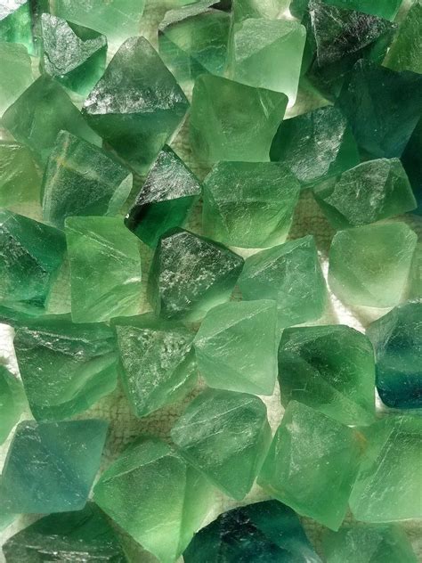 Эстетика зелёного the aesthetics of green в 2021 г | Зеленый, Оттенки ...