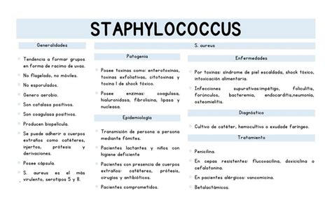 Flashcards Staphylococcus Medic Notes Udocz