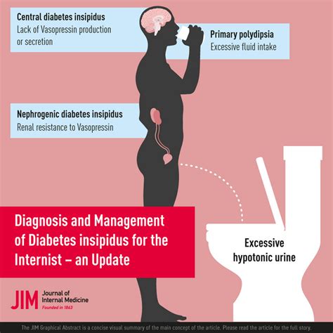 Diagnosis And Management Of Diabetes Insipidus For The Internist An