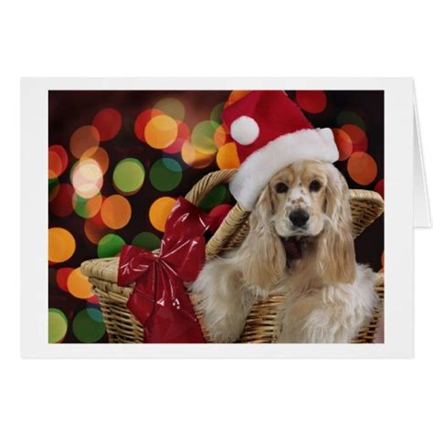 Christmas Cocker Spaniel Card | Zazzle