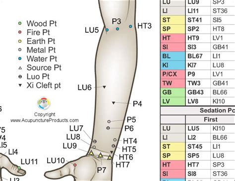 Five Elements Of Acupuncture Points Poster 18 X 24 Acupuncture Points