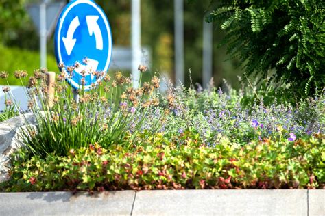 Waterbufferend Substraat Groene Rotondes Venlo Bvb Landscaping