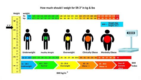 Average Height For A Th Grader