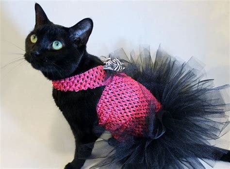 Hot Pink And Black Cat Tutu Cat Dresses Cat Tutus Birthday Cat