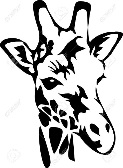 African Giraffe Silhouette At Getdrawings Free Download