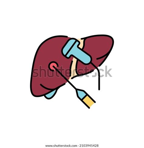 Biopsy Ultrasound Liver Color Line Icon Stock Vector Royalty Free