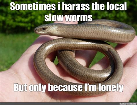 Create Meme Slow Worm Anguis Fragilis Slow Worm Brittle Picture Of