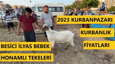 ADANA MESLEKLİSESİ KURBAN PAZARI 2023 KURBANLIK FİYATLARI YouTube