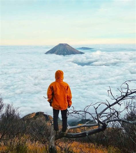 Gunung Di Indonesia Yang Dikenal Paling Angker Pernah Ke Sini