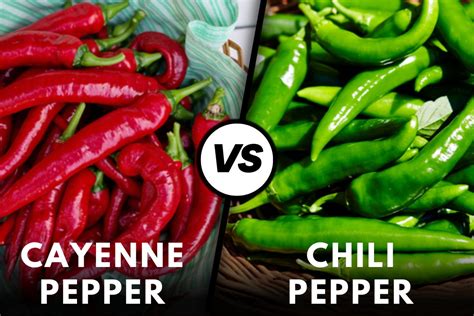 Cayenne Pepper Vs Chili Pepper CondimentBucket