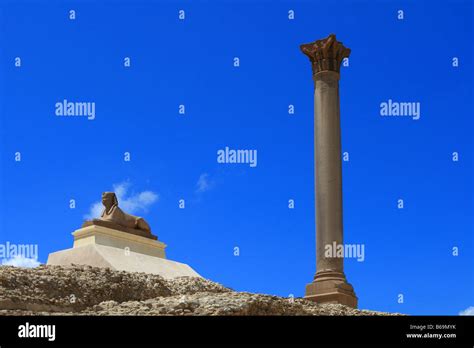 Pompey's Pillar Alexandria Egypt Stock Photo - Alamy