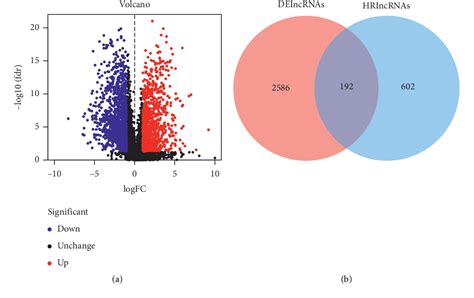 Figure 1 From Identification Of A Hypoxia Related Lncrna Biomarker