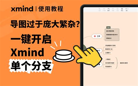 Xmind功能教程｜导图内容太多看不清？一键导出单个分支 Xmind思维导图 Xmind思维导图 哔哩哔哩视频