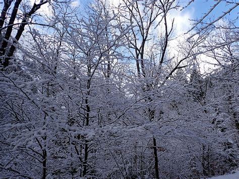 Winterliche Stimmung Fotos Hikr Org