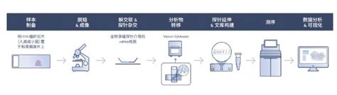 10x Genomics发布新品首款Visium仪器CytAssist生物器材网