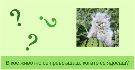 В кое животно се превръщаш, когато се ядосаш?