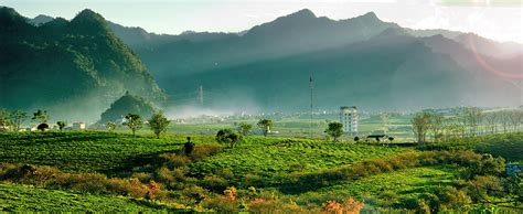 ultimate guide  moc chau son la vietnam travel guide maze vietnam