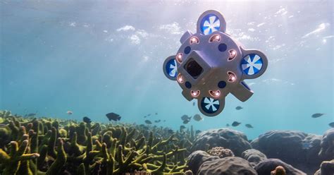 The Hydrus Underwater Drone Wants to Be the DJI of the Sea | PetaPixel