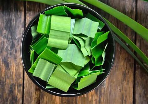 Health Benefits Of Pandan Leaves