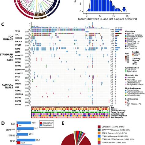 Genomic Temporal Heterogeneity In Plasma Circulating Tumour Dna Under Download Scientific