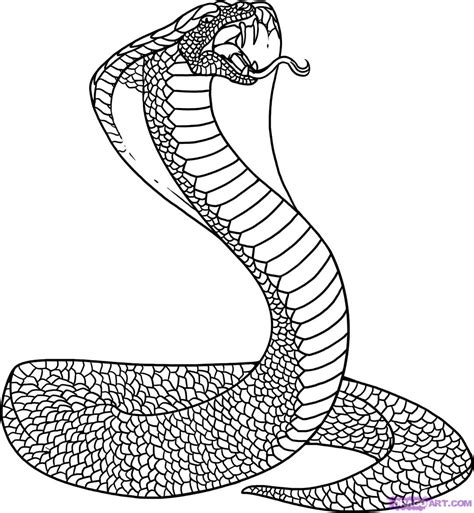 Spitting Cobra Coloring Pages At GetColorings Free Printable