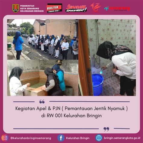 Kegiatan Apel PJN Kelurahan Bringin Berita