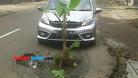 Jalan Nasional Di Baregbeg Ciamis Ditanami Pohon Pisang Oleh Warga