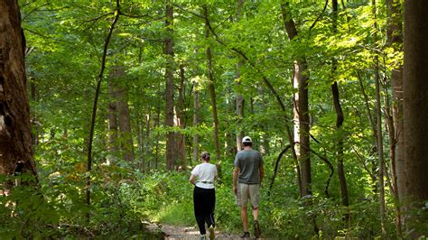 Letters Sex In Public Parks Must Come To A Halt