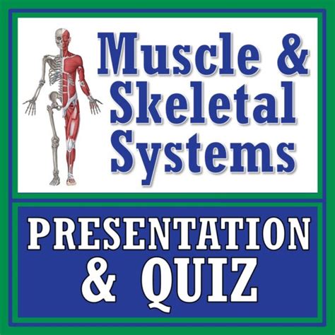 Muscles Bones And The Musculoskeletal System Notes And Quiz Flying