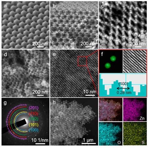 A Sem Image Of Polymethyl Methacrylate Pmma B Sem Image And C Download Scientific