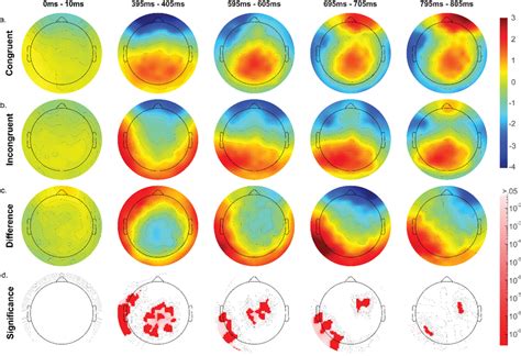 Scalp Topography Over 5 Time Points Distribution Of Eeg Amplitudes