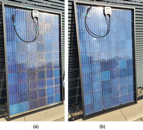 Photograph Of The Rear Side Of A 60 Cell Module With Bifacial Topcon