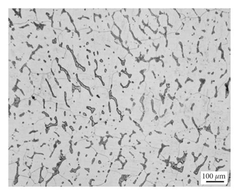 Optical Micrographs Of M Nil Steel Annealed At C For Different