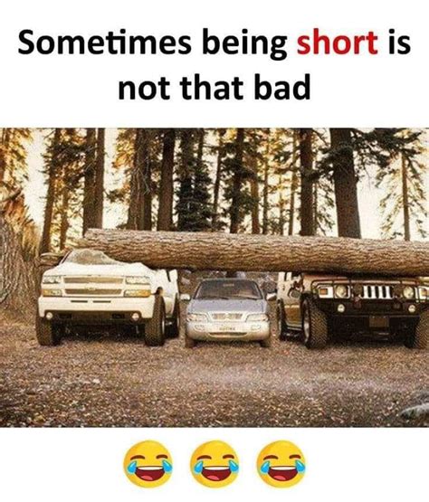 Memes W Linky Gay Nyc Dad