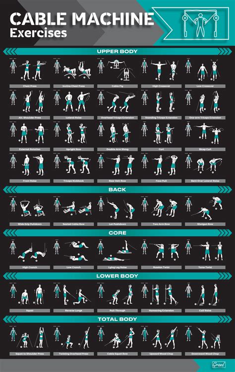 Printable Cable Machine Exercises Chart Printable Word Searches