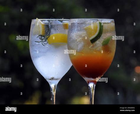 Refreshing Drinks Gin And Tonic With Lemon And Rosemary And Drink Gin